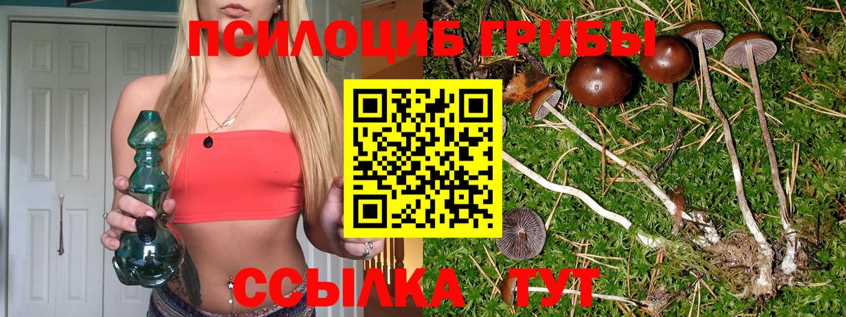 Дмитров  Галлюциногенные грибы MAGIC MUSHROOMS  Псилоцибиновые грибы Psilocybine cubensis  Вход с VPN 